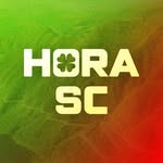 horasantacatarina's profile